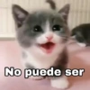No ser @Harley Stickers