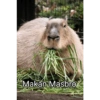 Makan Masbro