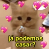 já podemos casar?