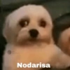 11:11
Nodarisa