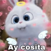 B
Geysi Oy
Ay cosita