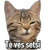 Te ves setsi