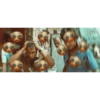 Templates Nibba 25