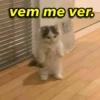 vem me ver.