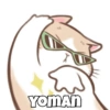 YOMAN