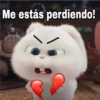 Me estás perdiendo!
