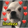 644 lindeza