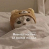 @ebertellx Buenas noches, te quiero mucho.