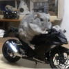 Kawasaki 2013