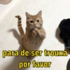 para de ser trouxa
por favor