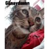 Günaydınn