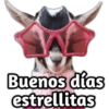 Buenos días estrellitas