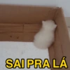 SAI PRA LÁ