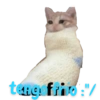 tena frivo:"/