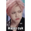 males cuk