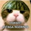 IYAKAH? ASTAGA NGERINYA