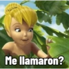 Me llamaron?