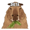 DIETA