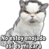 Viickyfas No estoy enojado así es mi cara