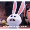 KEBODOHAN APALAGI INI