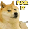 FUCK h