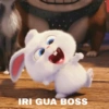 IRI GUA BOSS