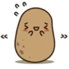 << D U >>