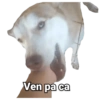 Ven pa ca
