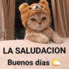 LA SALUDACION Buenos días