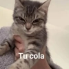 Tu cola