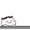 Pentolannn 26