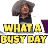 WHAT A BUSY DAY