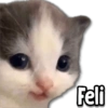 Feli