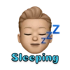(1 N Z Sleeping