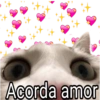 Acorda amor