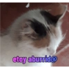 etoy aburrid@
