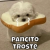 PANCITO TROSTE