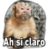 @Vickyfas Ah si claro