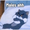Males ahh