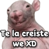 @Giseelove Stickers
Te la creiste
we XD