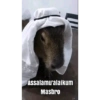 Assalamu'alaikum Masbro