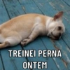 TREINEI PERNA ONTEM