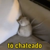 tô chateado