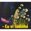 Eu vi tudinho