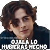 STICKERSMN OJALÁ LO HUBIERAS HECHO