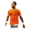 1.0 Netal