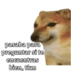 pasaba para preguntar si te encuentras bien, tkm
