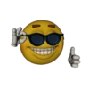 EMOJI 12