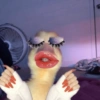 Patinho ♥️🦆 5