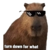 turn down for what